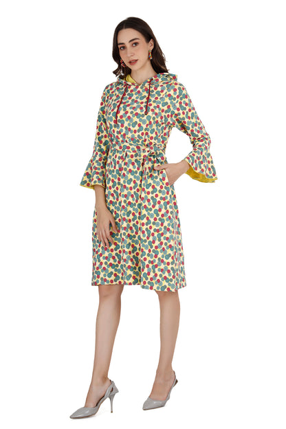 Women's Multicolored Printed Maternity Hoodie Dress